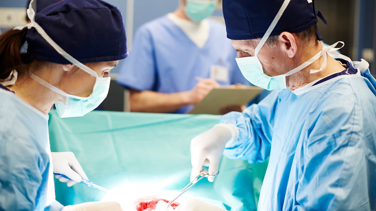 Pig kidney kept a man off dialysis for nine months, longest xenotransplant yet