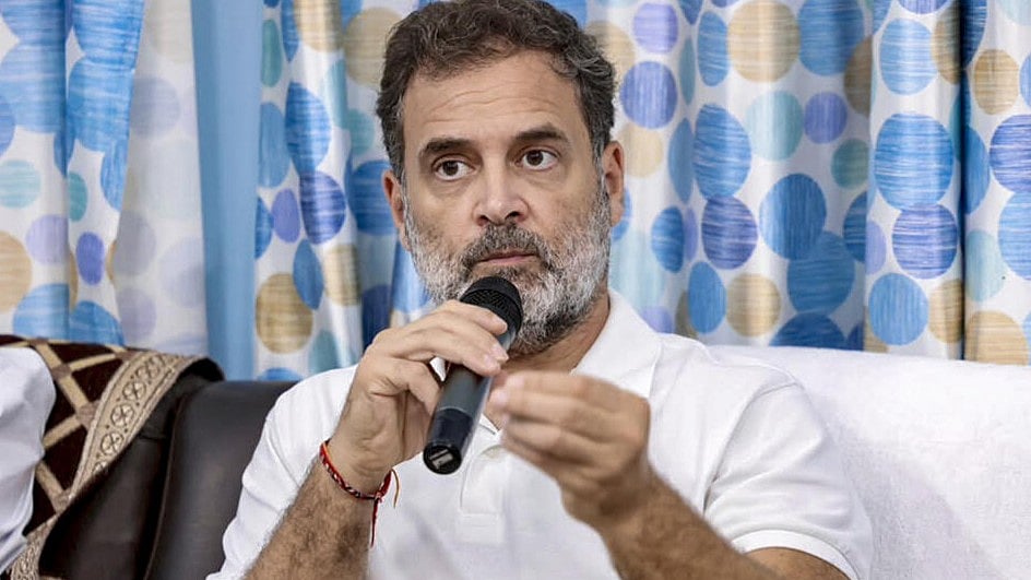 Government questions Rahul Gandhi's criticism of UPI charges, says Congress MPs in panel gave nod