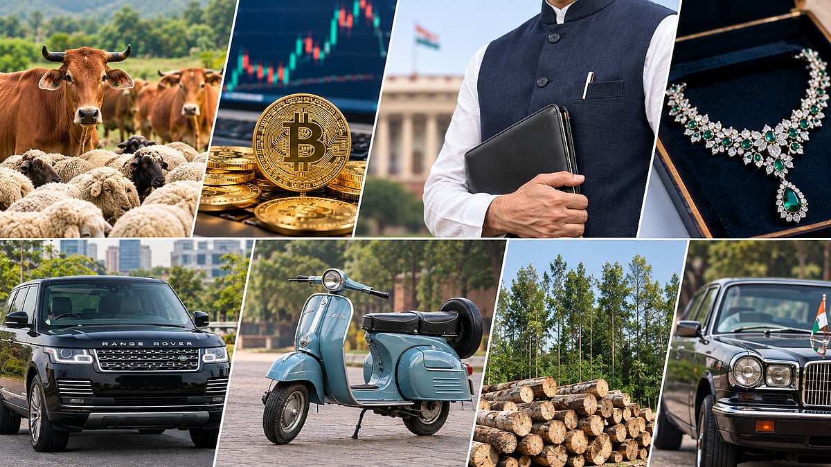 From cattle to crypto to daggers: The many assets of Union Ministers