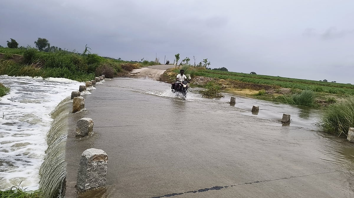 Rains revive water bodies in Ballari, Vijayanagara districts