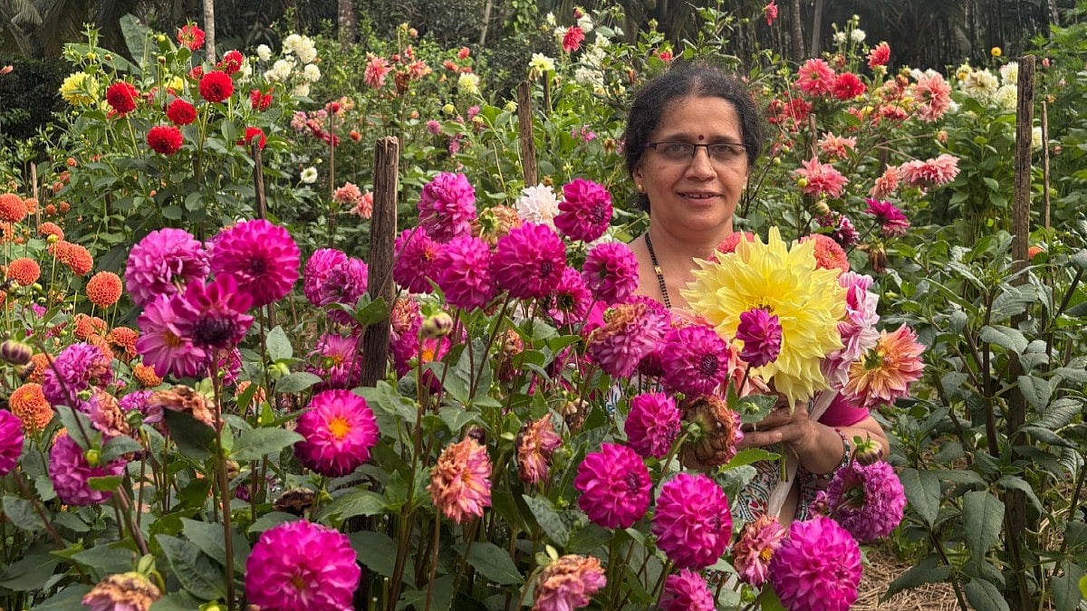 Passion to profits: How dahlia cultivation is empowering women in rural Karnataka