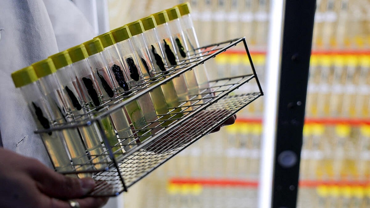 Nobel Prize in medicine 2026: How does the breakthrough work?