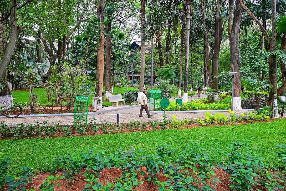 Only 35% of Bengaluru parks allow barrier-free entry, survey finds