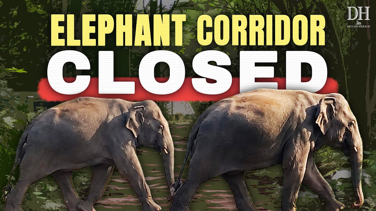 Bengaluru eco-tourism project could cut off elephants from historic Roerich Estate