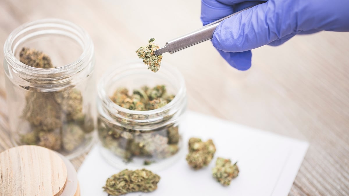 Two passengers held with hydroponic ganja worth Rs 9.67 cr at Bengaluru airport