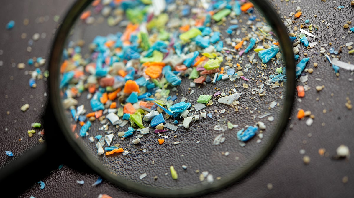 Class 12 student develops prototype to extract microplastics from human blood