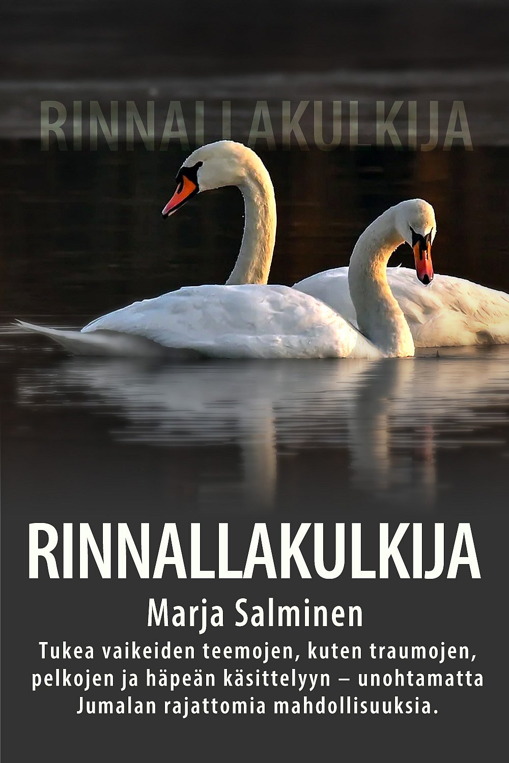 dei/2025-03-13/294mpwzy/Rinnallakulkija_MerjaSalminen_kortti.jpg