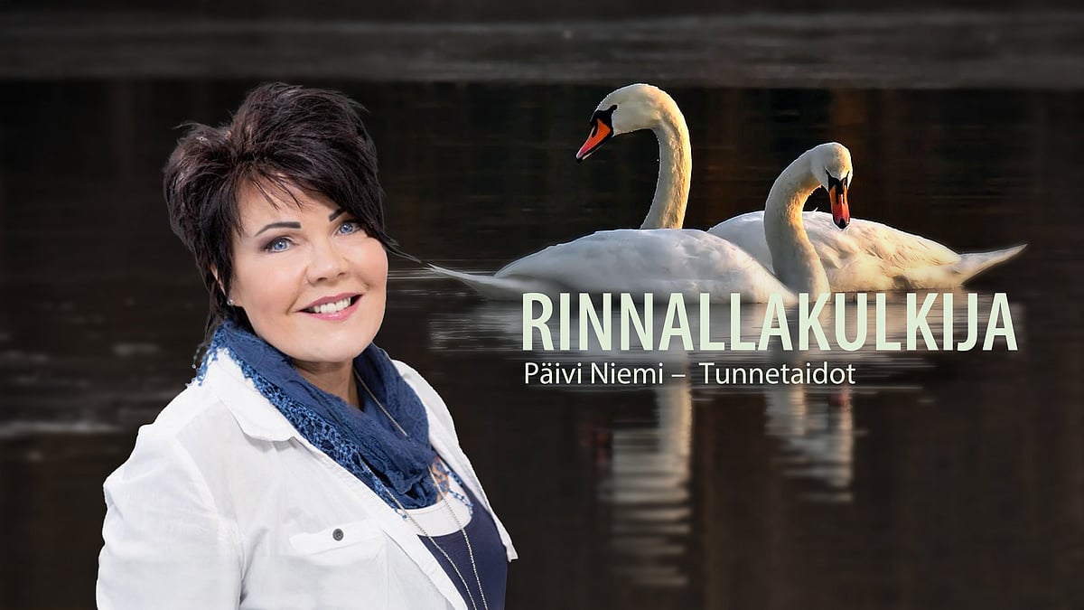 Tunnetaidot - 13/18