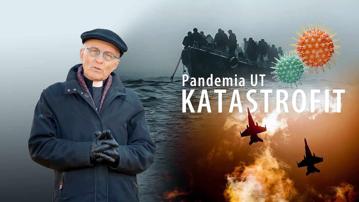 Pandemia UT - 2/5