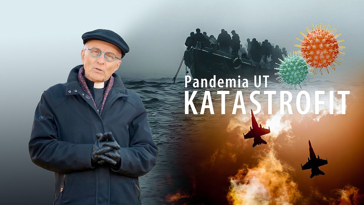 Pandemia UT - 2/5