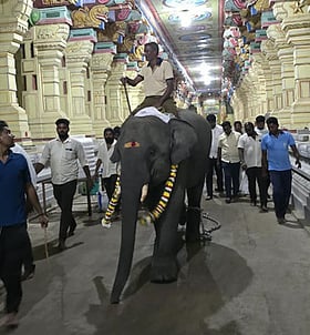 Photo: Dinamani
