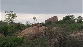 Photo: Dinamani