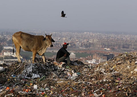 बढ़ता प्लास्टिक प्रदूषण पर्यावरण के साथ जैवविविधता के लिए बन रहा खतरा