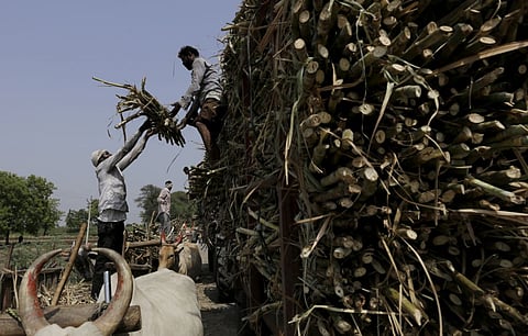 Sugar mills owe cane farmers Rs 18,143 crore