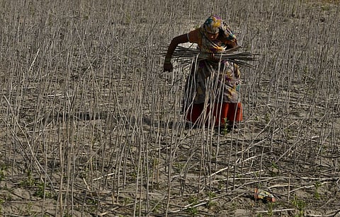 पूरे परिवार को तोड़ देती है आत्महत्या, महिला किसानों को गुजारनी पड़ती है विपदा की जिदंगी