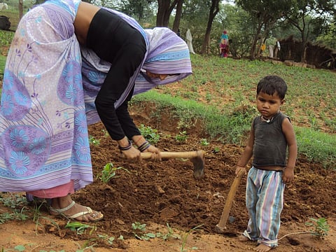 कॉप 27: बाढ़, सूखा, तूफानों का सामना कर रहे छोटे किसान, मिल रही केवल 1.7 फीसदी राशि