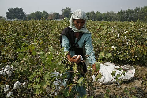 The future of Indian agriculture lies with ‘atmanirbhar' farmers