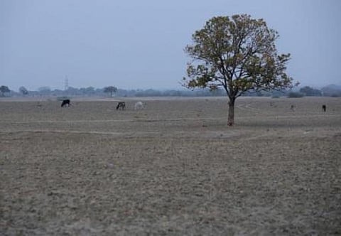 The apex court made it clear that this ostrich-like attitude was a pity, particularly since the people affected by a possible drought-like situation or drought usually belong to the most vulnerable sections of the society
Credit: Vikas Choudhary