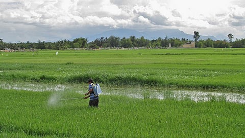 insecticides diazinon, malathion and herbicide glyphosate are unlikely to pose a carcinogenic risk to humans from exposure through the diet