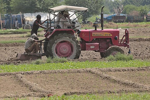 Access to right information is the key to addressing many problems faced in the agriculture sector
Credit: Vikas Choudhary