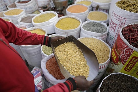 When consumed with cereals, pulses increase the protein quality of meals. They are also rich in micronutrients and b-vitamins, apart from being affordable
Credit: Vikas Choudhary
