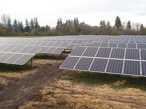 As of February 2016, Delhi has installed nearly 12 MW of solar plants and ranks second in the northern region after Punjab
Credit: Oregon State University/Flickr