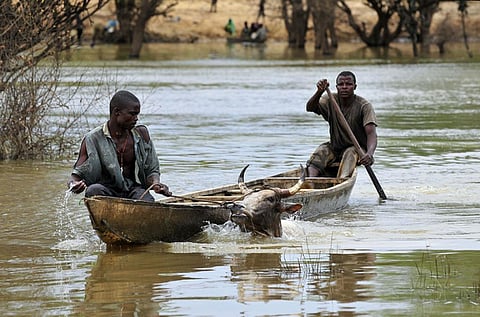 Climate change is predicted to hit Africa hard unless the continent puts in place adaptation plans