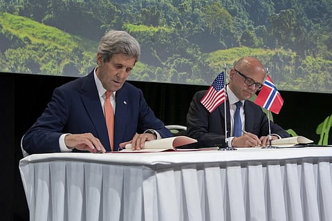 The statement recognises that climate change mitigation cannot be achieved without forests (Photo credit: Ken Opprann/CC BY-NC-ND 2.0)