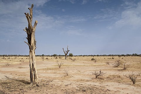 Gradual desertification in Africa is having a far-reaching impact on human health, food security and economic activity Credit: TREEAID / Flicker