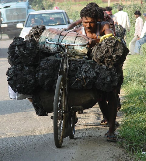 A man carries coal from coalmining
area Hazaribagh to
Ranchi. Increase in coal-based
power may be slower than
currently expected (Photo: Sugandha Juneja)