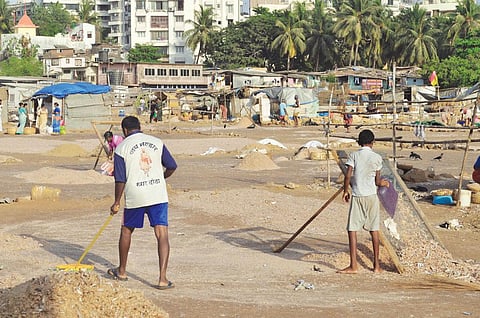 Khar Danda will be one of the worst affected
fishing villages. Reclamation and mangrove
removal will also destroy fish breeding sites (COURTESY: BOMBAYVA)