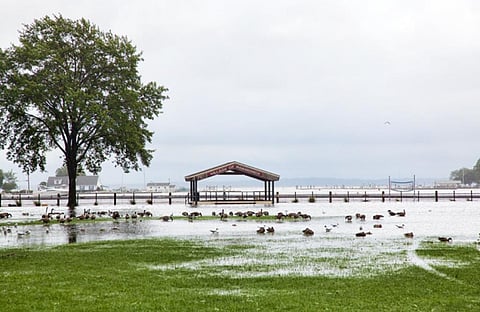 While the loss of marshland and trees exposed the residents to hurricanes, frequent flooding has made farming impossible Credit: June Marie / Flicker