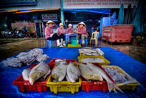 A fish market in Vietnam   Credit: Flickr