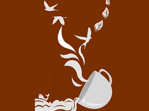 Coffee that will keep the Cauvery flowing