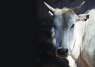 THINKSTOCK PHOTOS