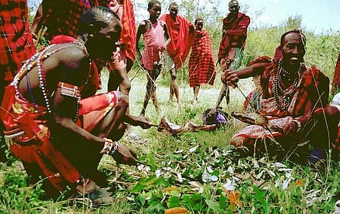 Family smallholders, local communities and indigenous people have a key role to play in preserving these carbon stocks by reducing deforestation
Credit: Cea +/Flickr