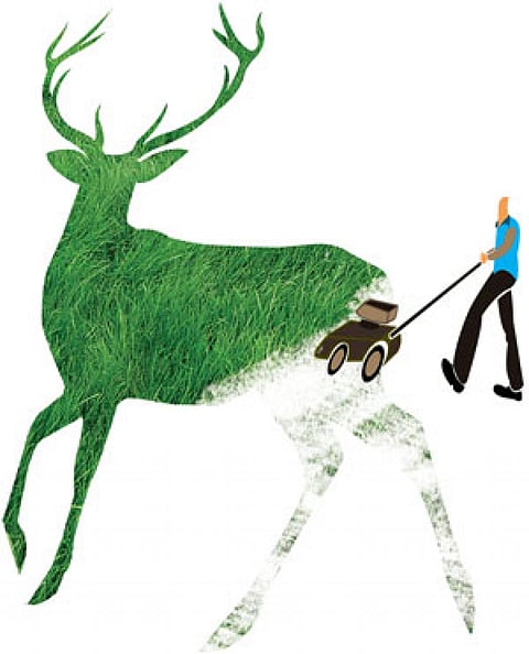 Illustration: Sorit