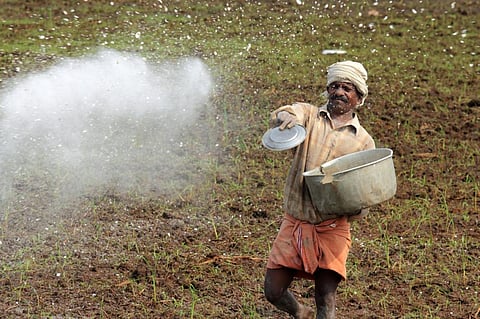 About 292 districts account for consumption of 85 per cent of all of the country’s fertilisers (Credit: iStock Images)