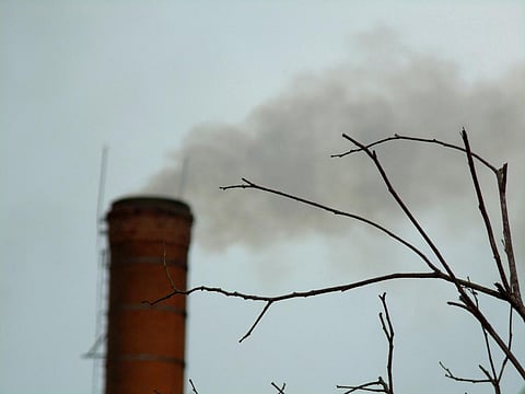 Immediate and drastic climate action will mean far fewer deaths and less environmental damage in the future.
