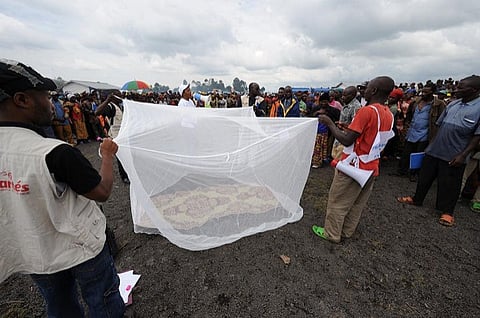 Since the beginning of this year, almost 1,000 people in both DRC and Angola have had confirmed yellow fever
Credit: Julien Harneis/Flickr