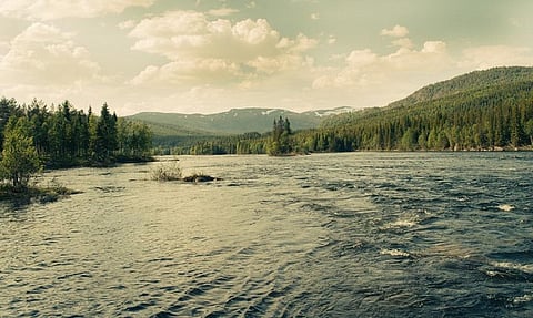According to researchers, since the early 1990s one-tenth (3.3 million km2 or approximately 9.6 per cent) of global wilderness areas have been lost
Credit: Alexander Cahlenstein/Flickr