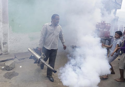 The cases of vector-borne diseases are on a rise in Delhi (Credit: Vikas Choudhary/CSE)