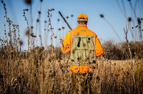The value of environmental crimes is 26 per cent larger than previous estimates 
