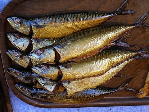 The FAO is collaborating with Google to develop new platforms and research methodologies to support countries in improving their monitoring, control and surveillance of fishing activities
Credit: Erich Ferdinand/Flickr