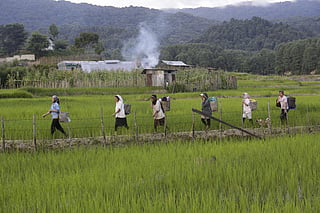 According to a book, the severity of floods and storms in the past 30 years, has put the agriculture sector of many countries at the risk of growing food insecurity
Credit: Vikas Choudhary