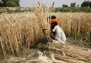 There are around 475 million low-income, small-holder farmers whose access to technologies, markets and credit is limited. They will need timely access to technologies, markets, information and credit for investment to adjust production systems and practices to climate change
Credit: Vikas Choudhary