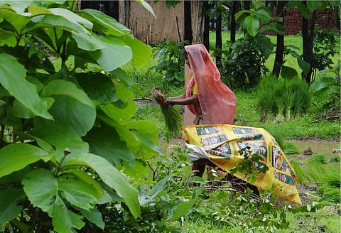 The meeting is aimed at develop mitigation measures for faster green clearances for projects in wildlife habitats