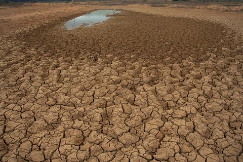 166 million hectares of the Great Green Wall area offer restoration opportunities (Credit: iStock) 
