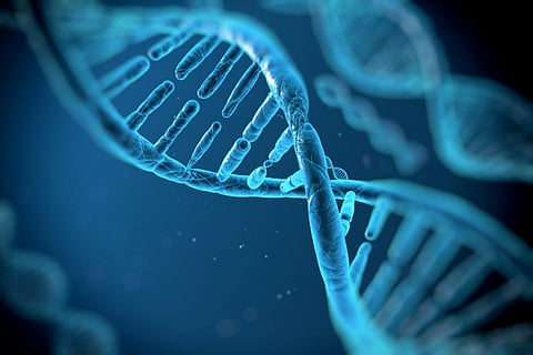 Resistance can be developed in all kinds of microbes in the presence of antimicrobial medication (Credit: iStock)