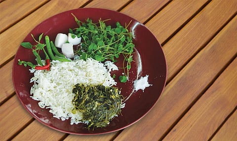 The Ambiliti
saaga has a
sour taste
and can help
relieve scurvy
and skin
disorders (Photo: Srikant Chaudhary)